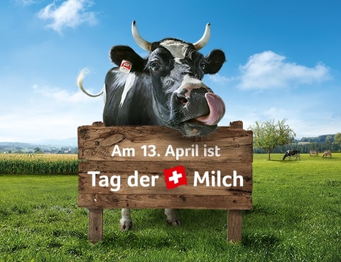 Feiern Sie den Tag der Schweizer Milch