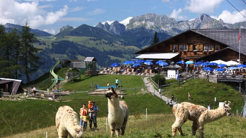 Hinauf auf den Berg Wispile