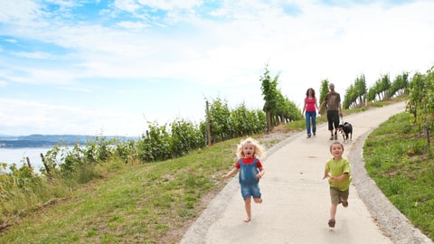 Erleben Sie diesen Sommer die FRIBOURG REGION