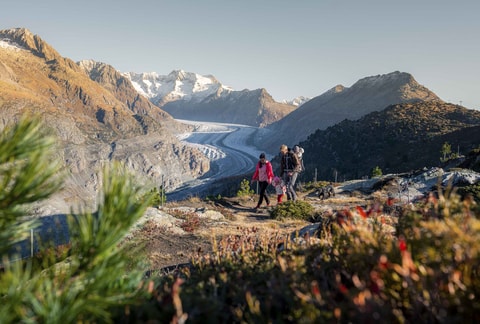 Alle Bergbahnen der Aletsch Arena zu einem unschlagbare...