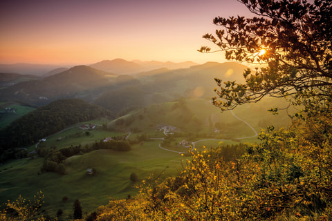 Schweizer Laubtracker für Herbstpracht
