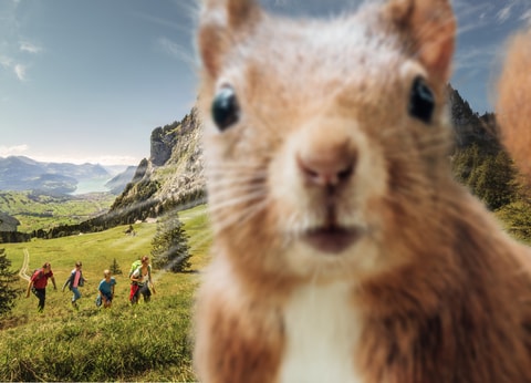 Tolle Herbstausflüge im Kanton Schwyz