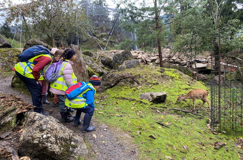 Der erste Tierpark-Kindergarten der Schweiz