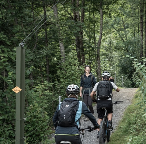 Konfliktzone am Berg: Mountainbiker*innen gegen Wander*...