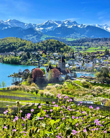 Nationale Auszeichnung für Spiezer Hotels und Eventloca...