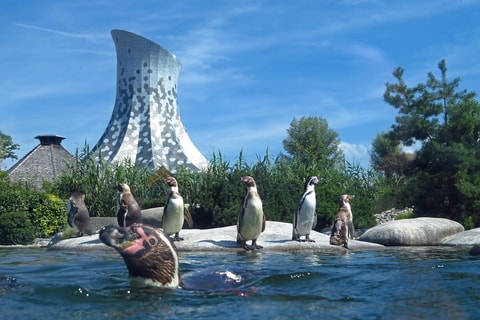 Knies Kinderzoo in Rapperswil