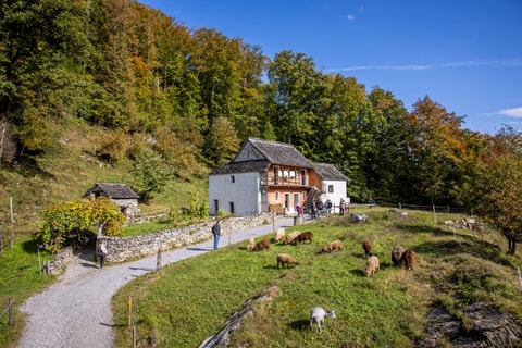 Freilichtmuseum Ballenberg