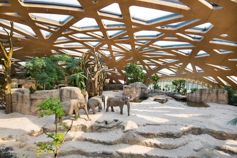 Zoo Zürich