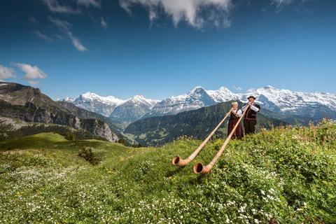 Schynige Platte