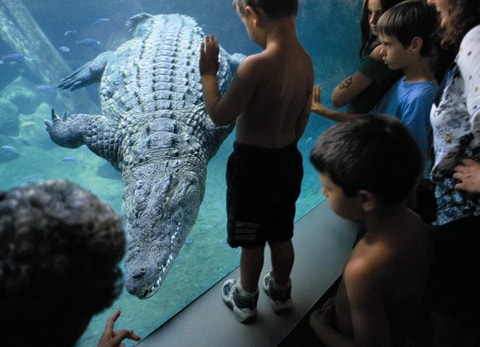 Zoo Basel