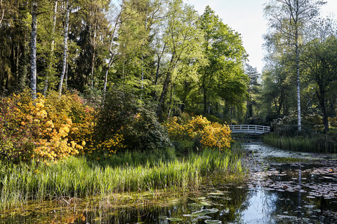 Park Seleger Moor