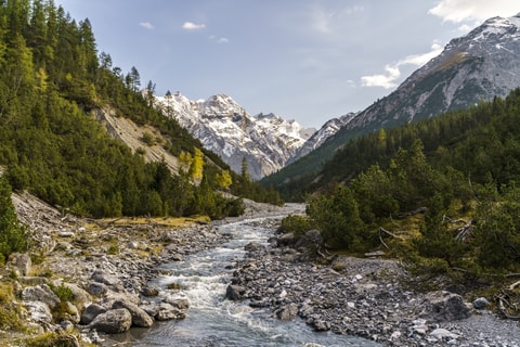 Schweizerischer Nationalpark