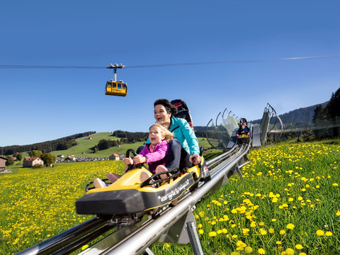 Kronberg Bobbahn