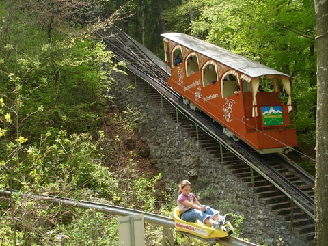 Heimwehfluh