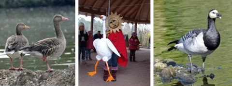 Gansabhauete für Kinder im Tierpark Goldau