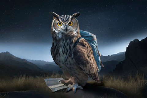 Nuit de la randonnée