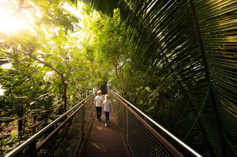 Papiliorama – Das tropische Erlebnismuseum
