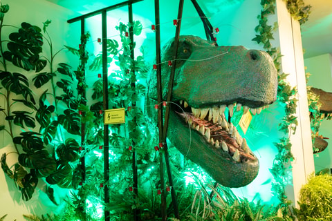 Sauriermuseum Aathal
