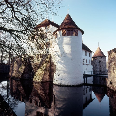 Schloss Hallwyl in Seengen