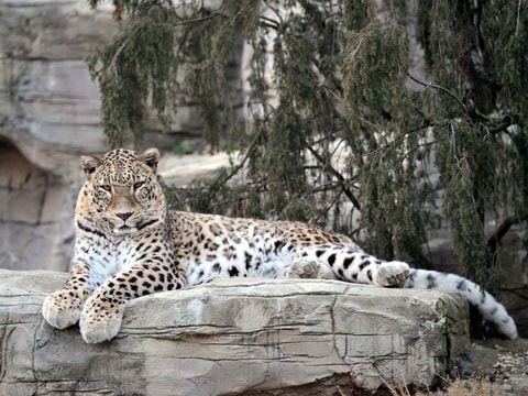 Tierpark Bern