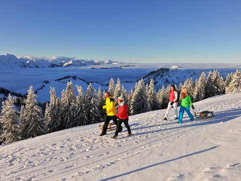 Appenzeller Schlittelspass – Appenzell