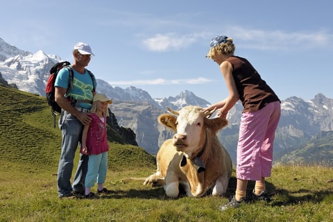 Wander- und Kletterparadies