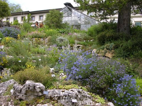 Botanischer Garten in Bern