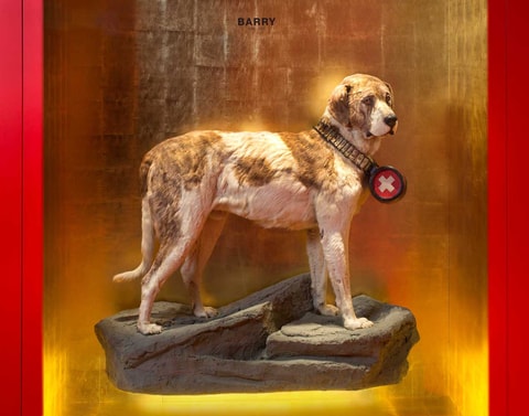 Naturhistorisches Museum Bern