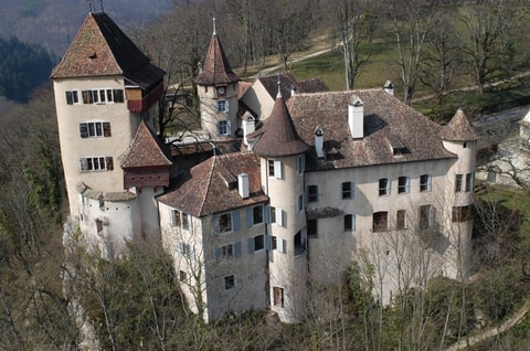 Schloss Wildenstein