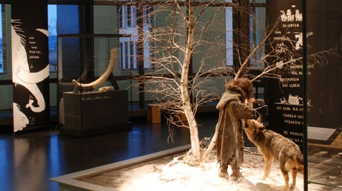 Museum für Urgeschichte(n) – Zug