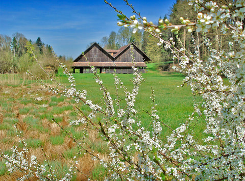 Ziegelei-Museum – Hagendorn