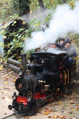 Robi-Bahn in Muttenz