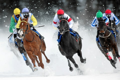 White Turf 2016