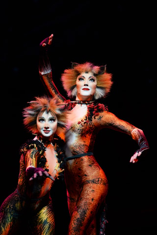 CATS im Musical Theater Basel