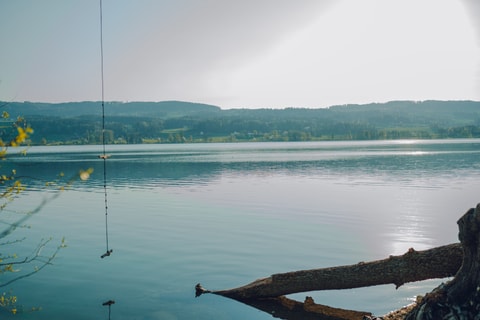 Rollstuhlwanderung am Greifensee