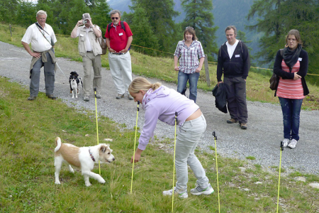1. Lecky-Trail – Bellwald