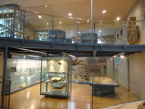 Sauriermuseum Frick