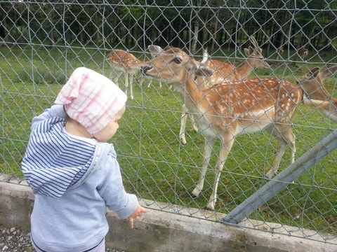 Erdmannlistein, Sagenweg und Tierpark
