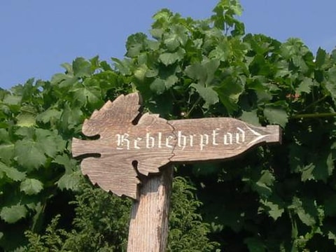 Reblehrpfad Schinznach-Dorf