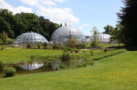 Botanischer Garten Zürich
