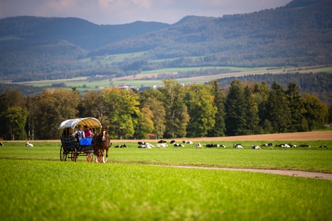 Pferdetourismus im Jura