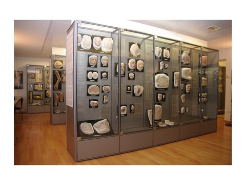 Moulagenmuseum – Zürich