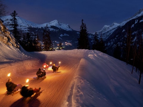 Schlittelbahn in Les Diablerets