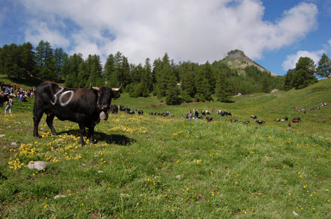Sommerferien und Kurort