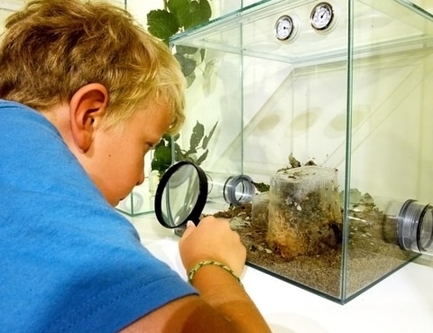 „Kleine und grosse Welten“ im Kindermuseum in Baden