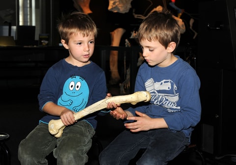 Knochenhart und Gummiweich – Kinderplausch