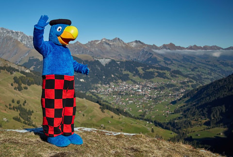 Beliebter Vogel kommt auf Schweizer Bühnen
