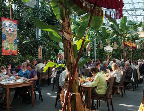 Bali-Wochen im Tropenhaus Wolhusen