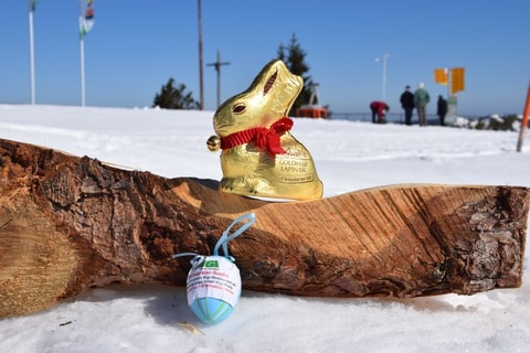 Ostereiersuche auf der Rigi