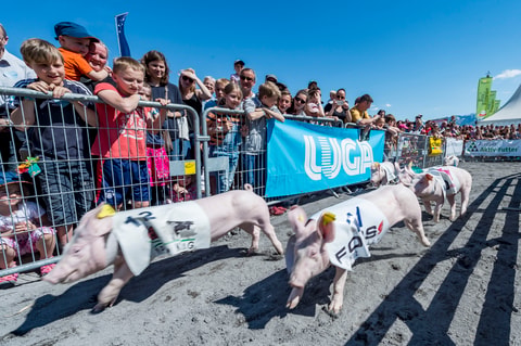 Luga 2017 in Luzern
